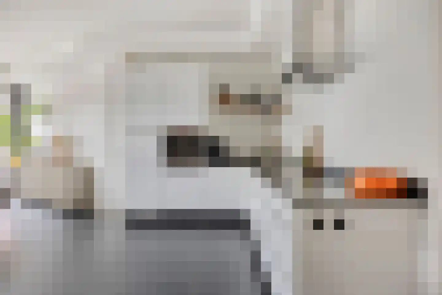 Padakkers 8 Hoogeloon thumbnail 25