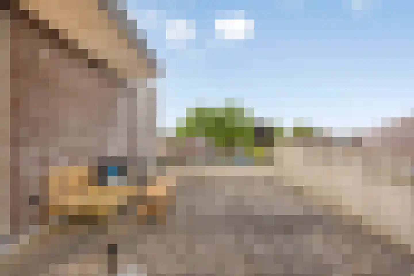 Padakkers 8 Hoogeloon thumbnail 37