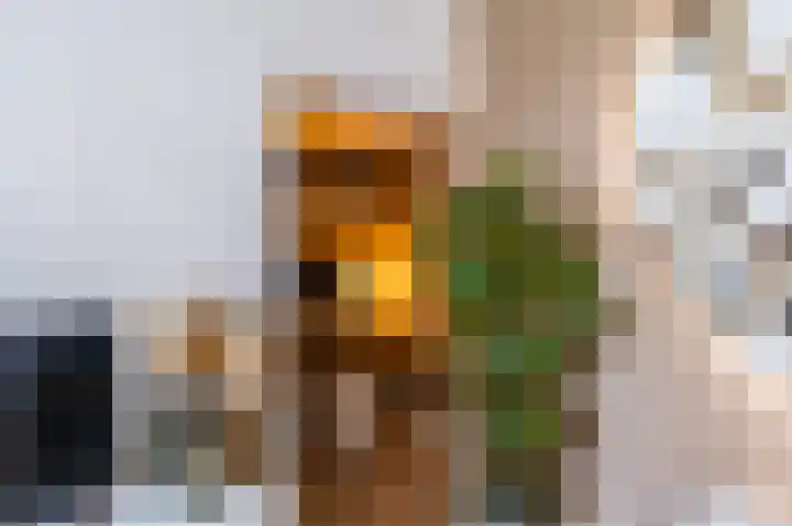 Padangstraat 13 Groningen thumbnail 5