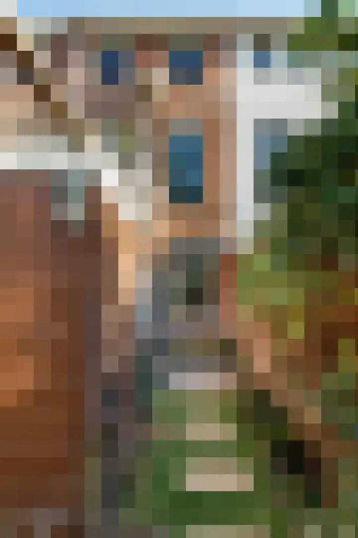 Padangstraat 18 Utrecht thumbnail 13