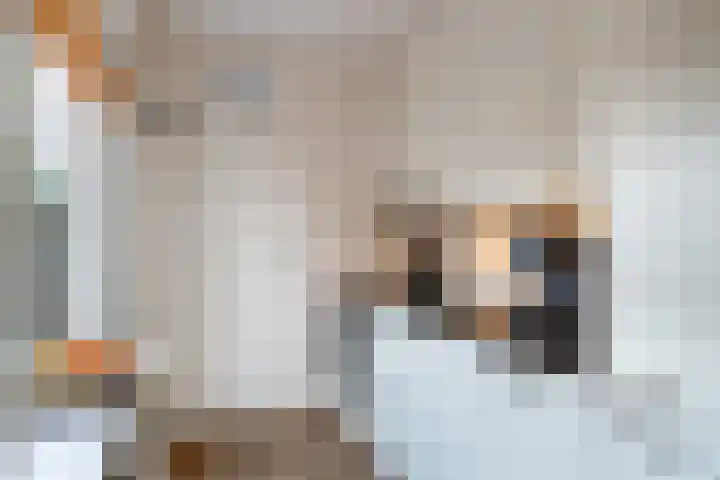 Padangstraat 18 Utrecht thumbnail 9