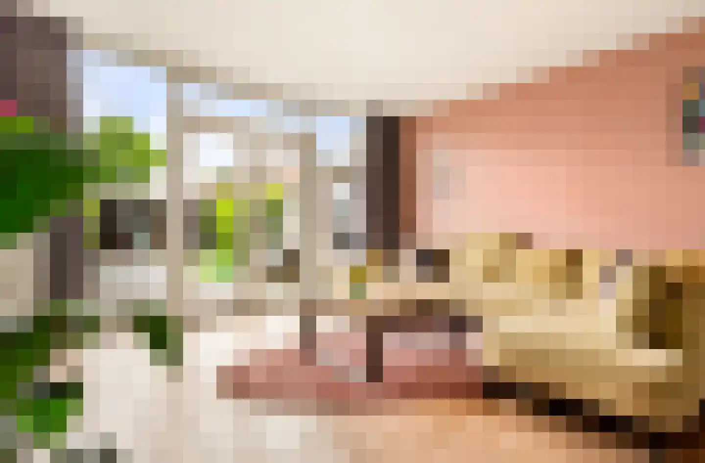 Padangstraat 23 Haarlem thumbnail 17