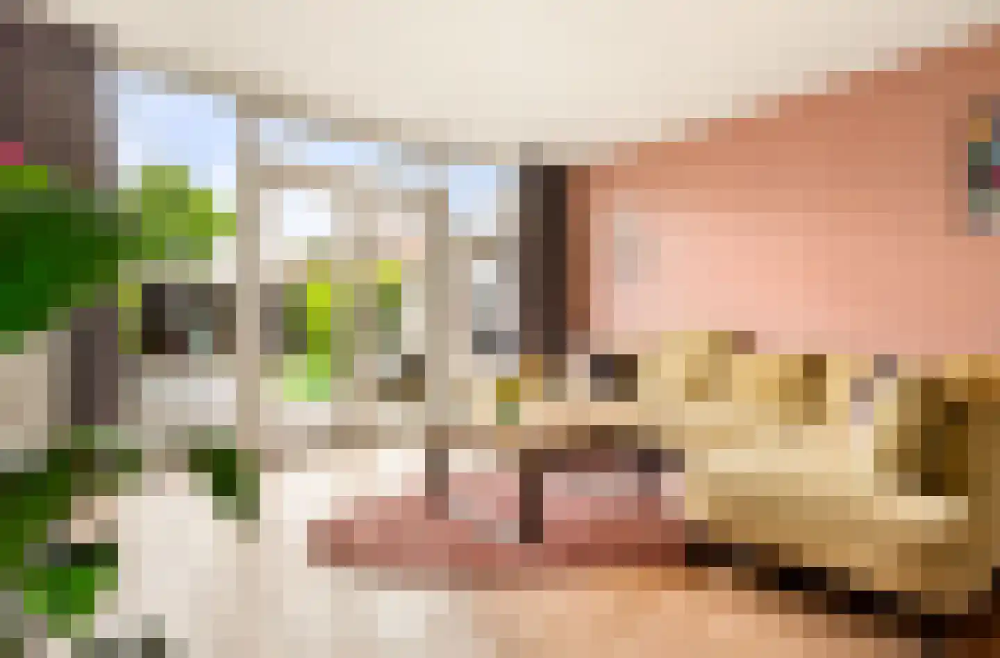Padangstraat 23 Haarlem thumbnail 18