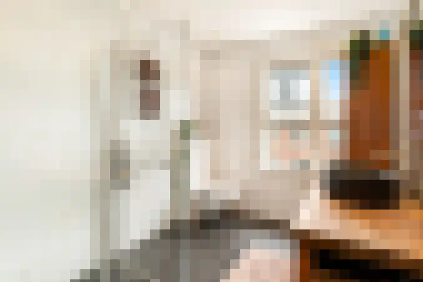 Padangstraat 23 Haarlem thumbnail 5