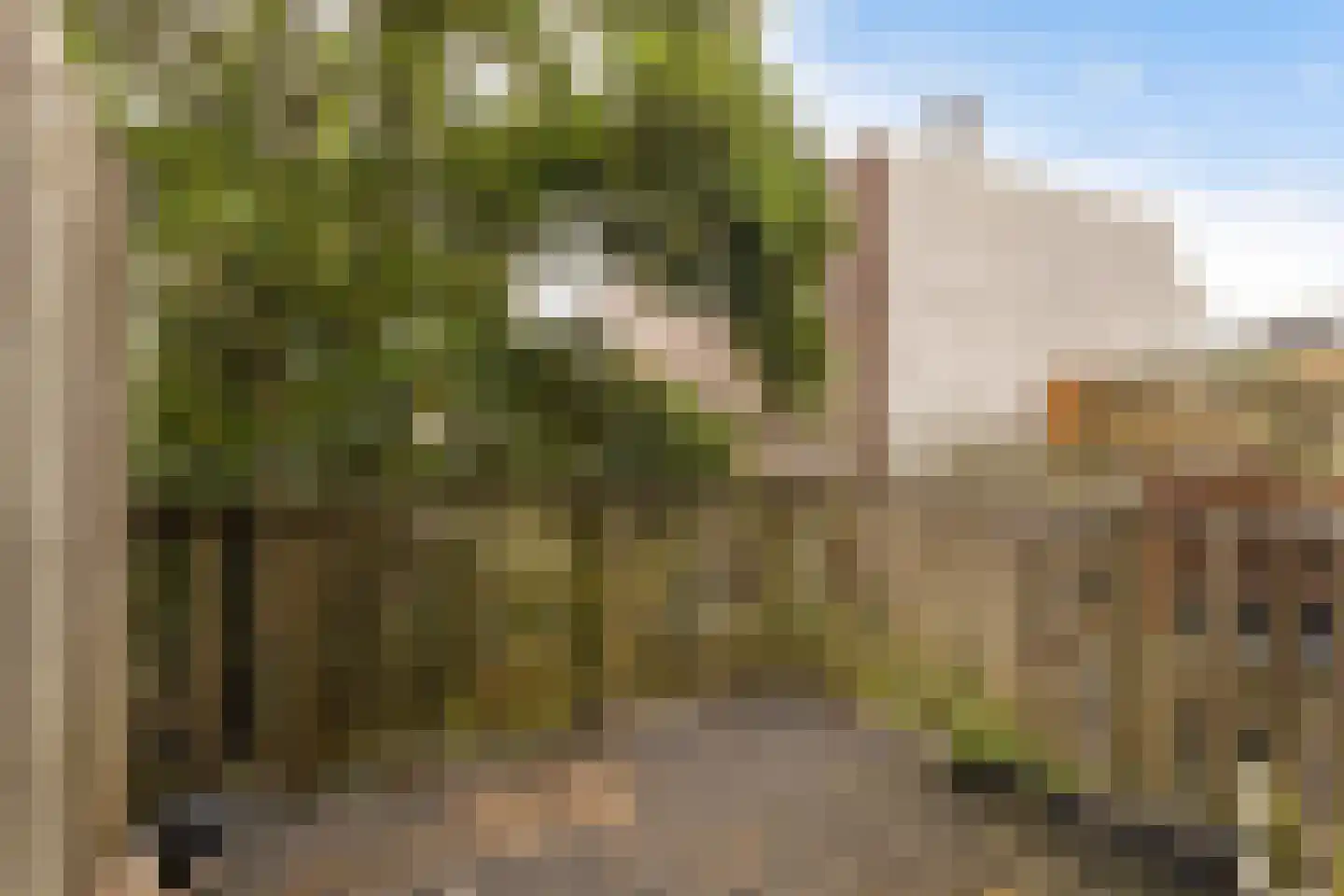 Padangstraat 43 BS Utrecht thumbnail 6