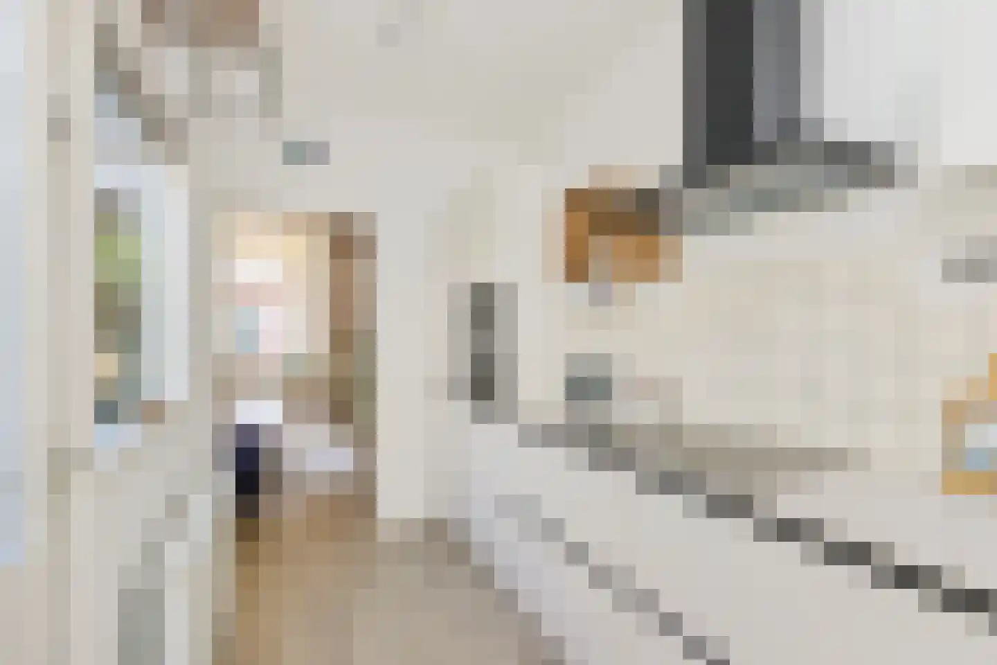 Padangstraat 48 Utrecht thumbnail 12