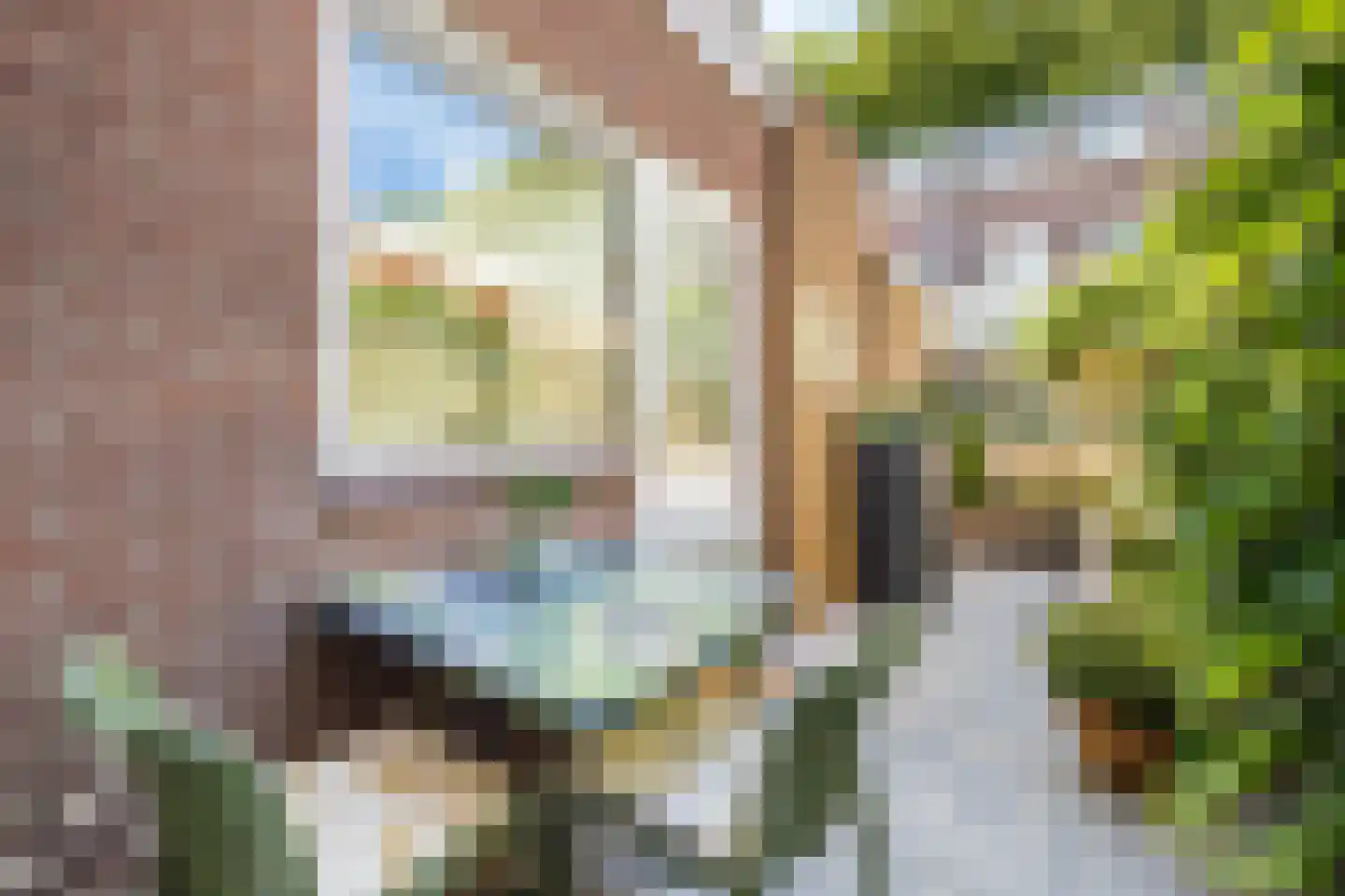 Padangstraat 48 Utrecht thumbnail 4