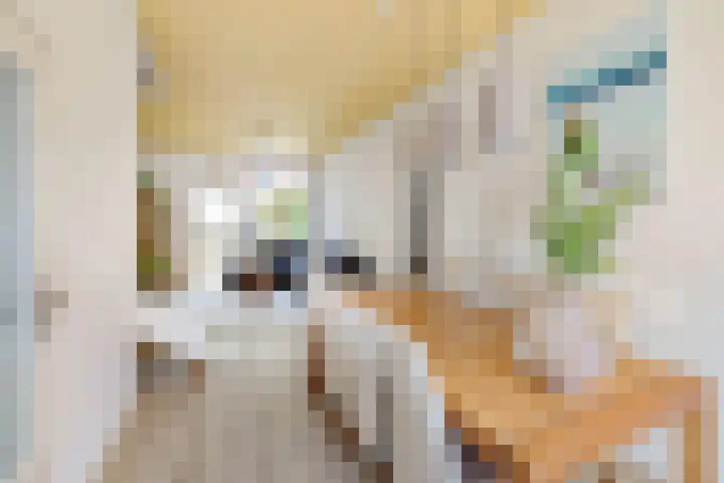 Padangstraat 48 Utrecht thumbnail 7