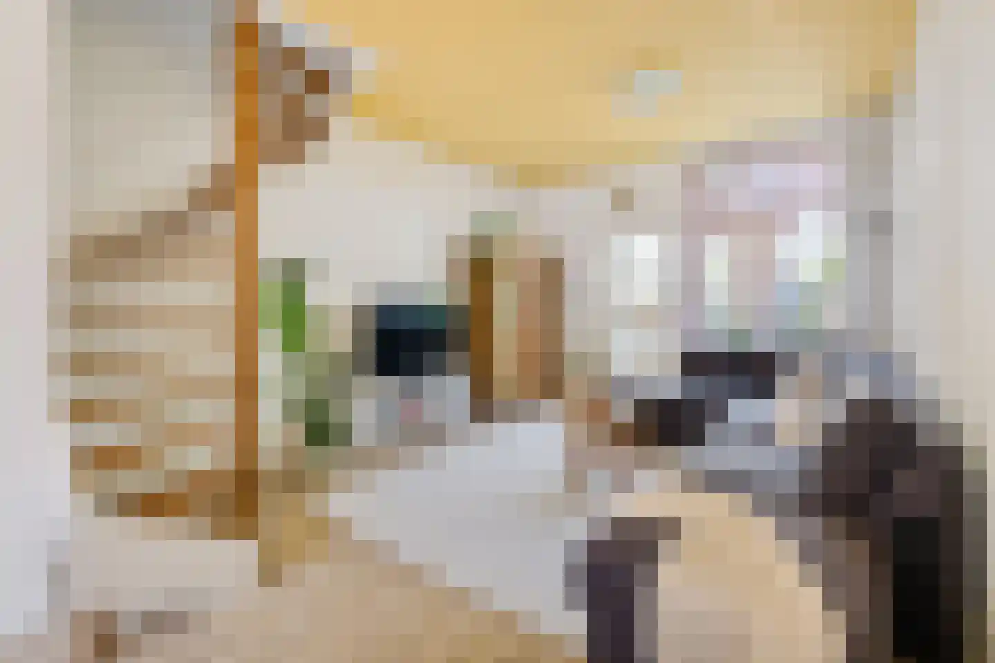 Padangstraat 48 Utrecht thumbnail 8