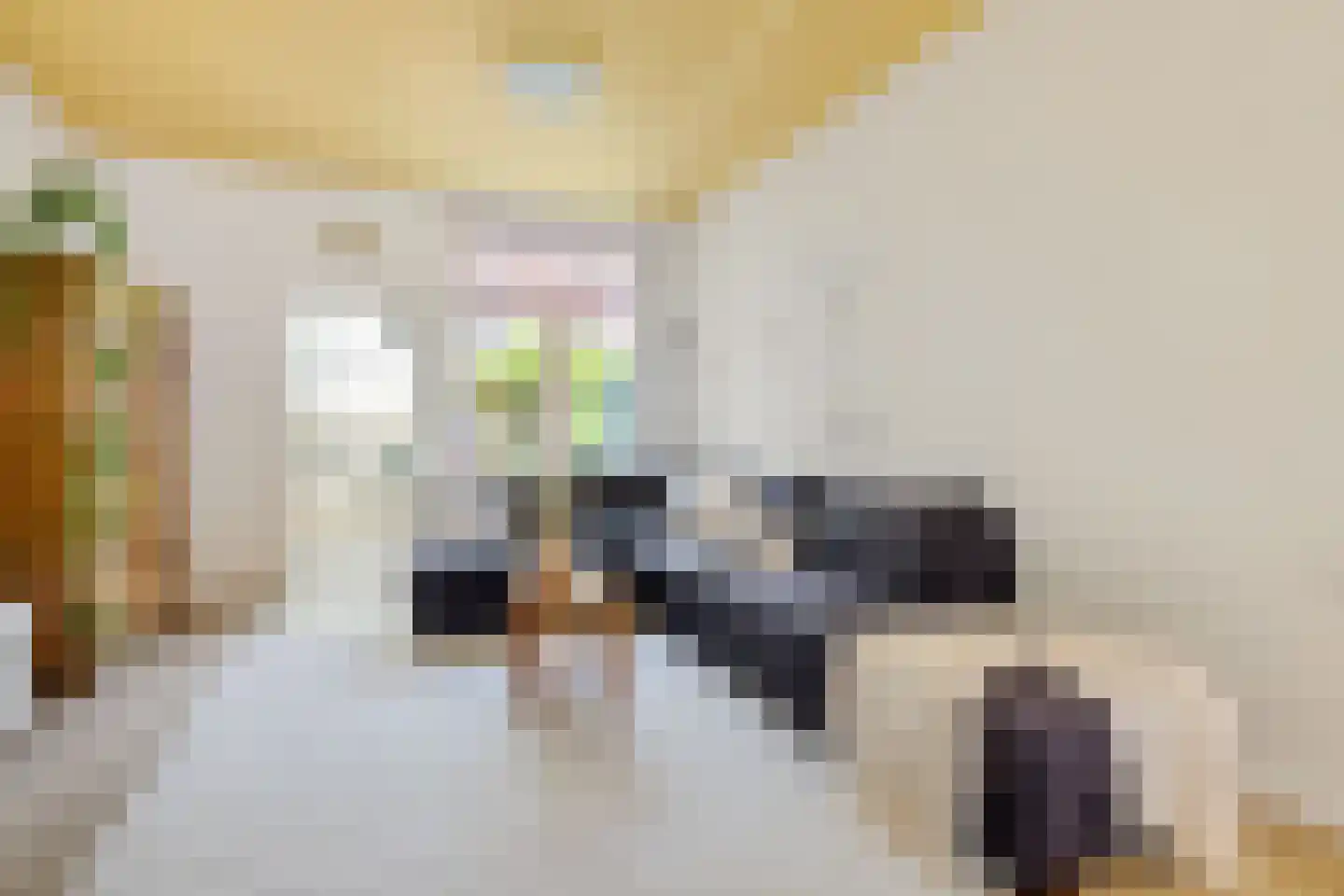 Padangstraat 48 Utrecht thumbnail 9