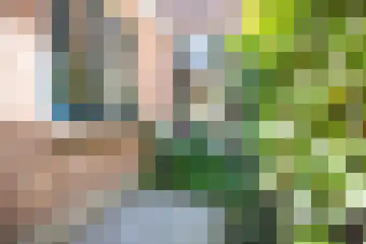 Padangstraat 49 Utrecht thumbnail 31