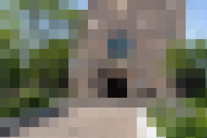 Padangstraat 49 Utrecht thumbnail 36