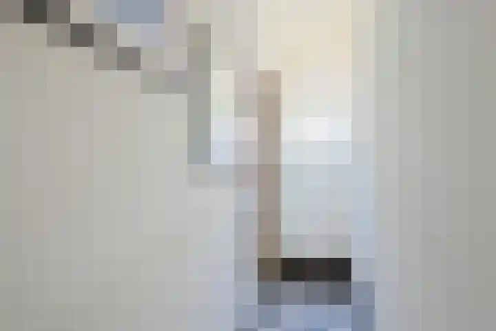 Padangstraat 49 Utrecht thumbnail 8