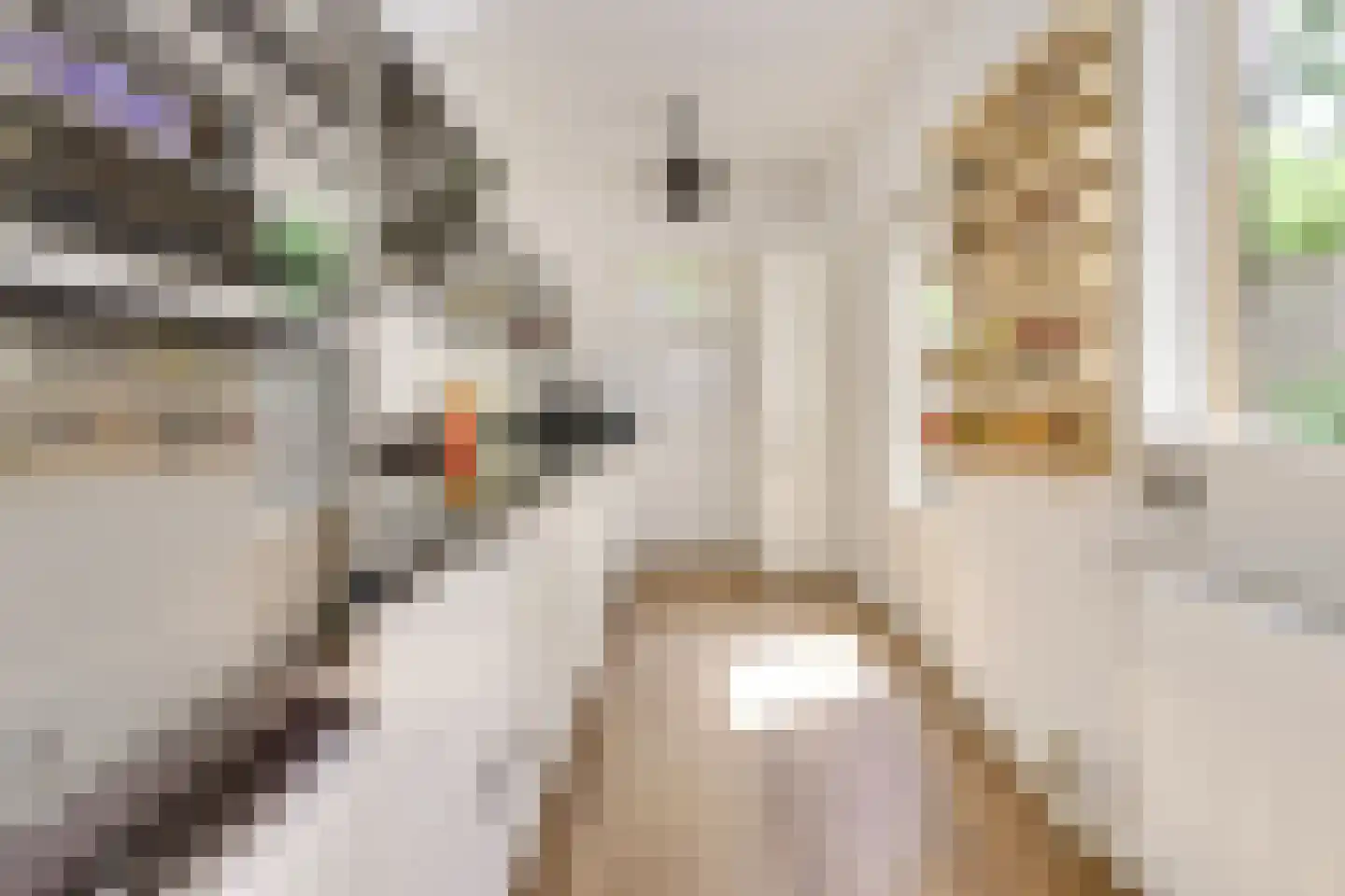 Padangstraat 51 Utrecht thumbnail 17
