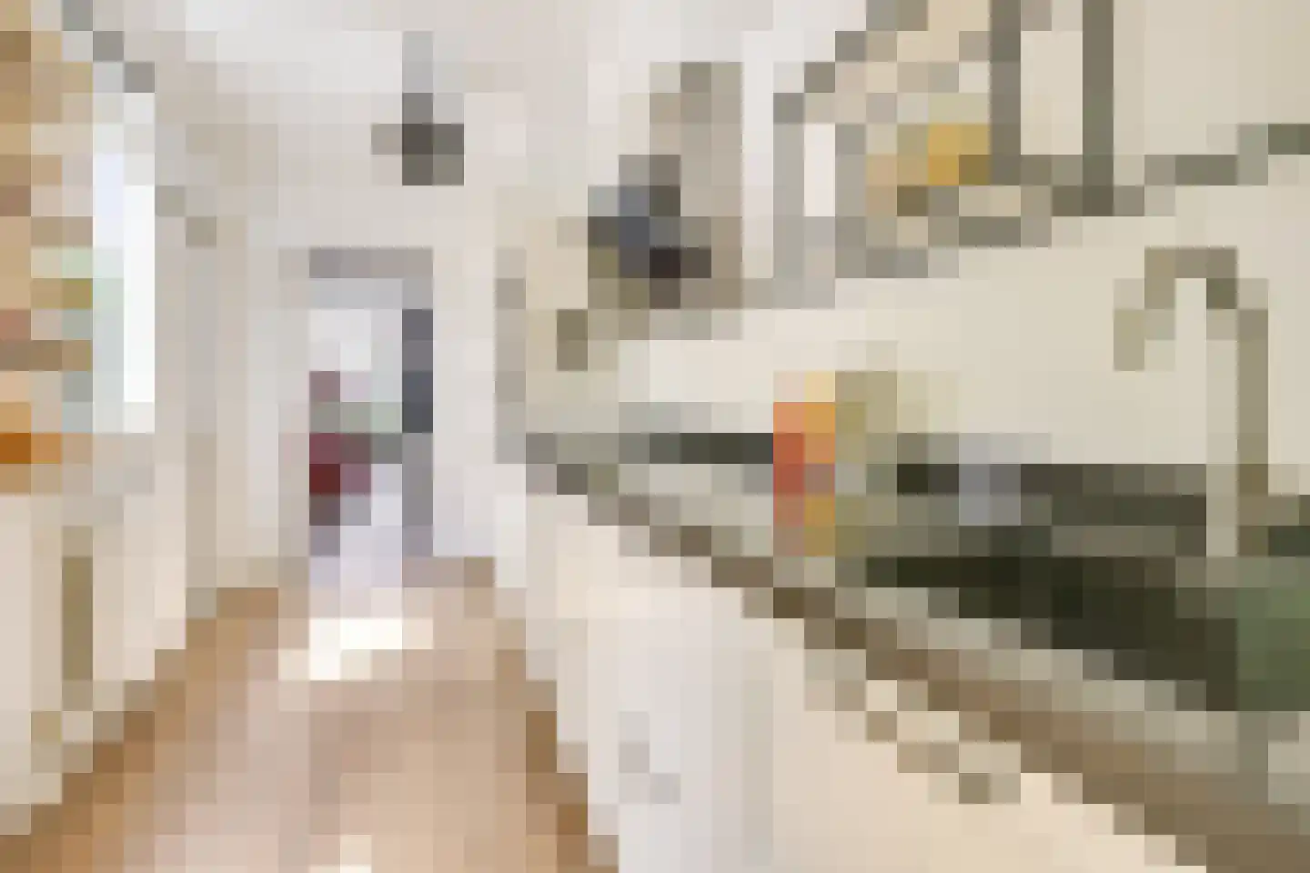 Padangstraat 51 Utrecht thumbnail 21