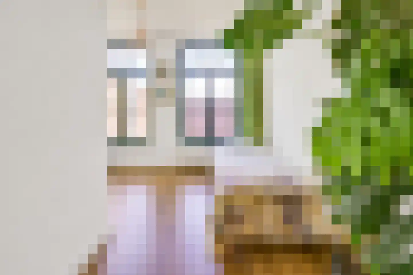 Padangstraat 51 Utrecht thumbnail 35