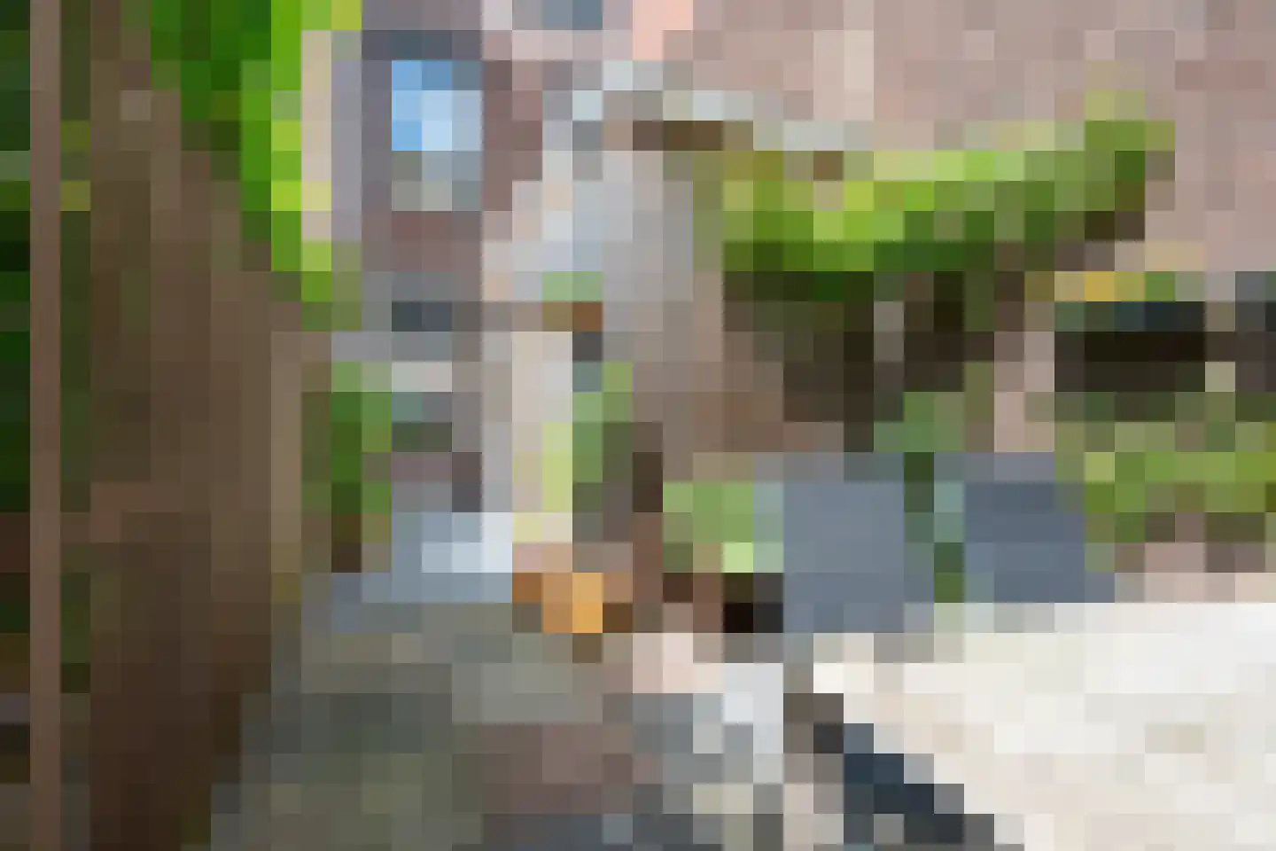 Padangstraat 51 Utrecht thumbnail 41