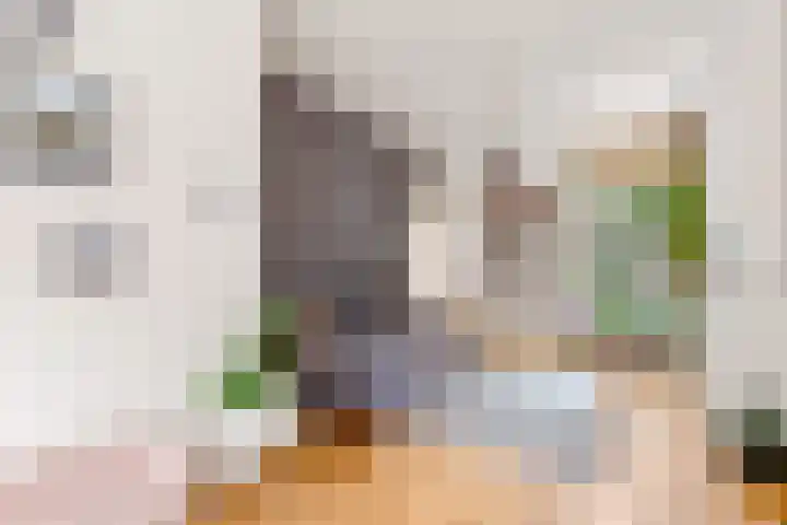 Padangstraat 61 Utrecht thumbnail 6