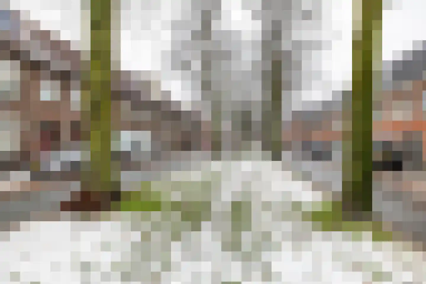 Padangstraat 75 a Groningen thumbnail 30
