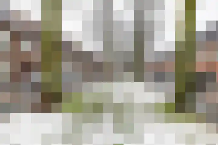 Padangstraat 75 a Groningen thumbnail 30