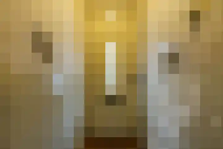 Padangstraat 75 a Groningen thumbnail 4