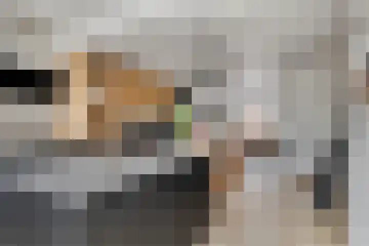 Padangstraat 8 Haarlem thumbnail 16