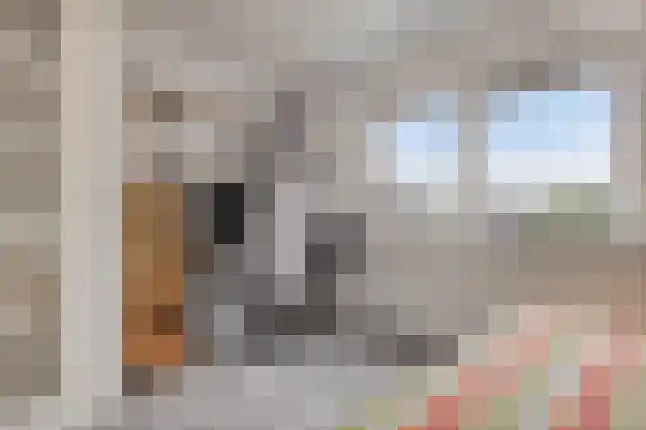 Padangstraat 8 Haarlem thumbnail 33