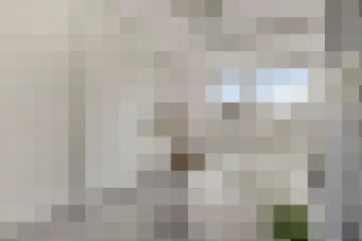 Padangstraat 8 Haarlem thumbnail 34