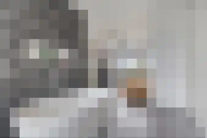 Padangstraat 8 Haarlem thumbnail 36