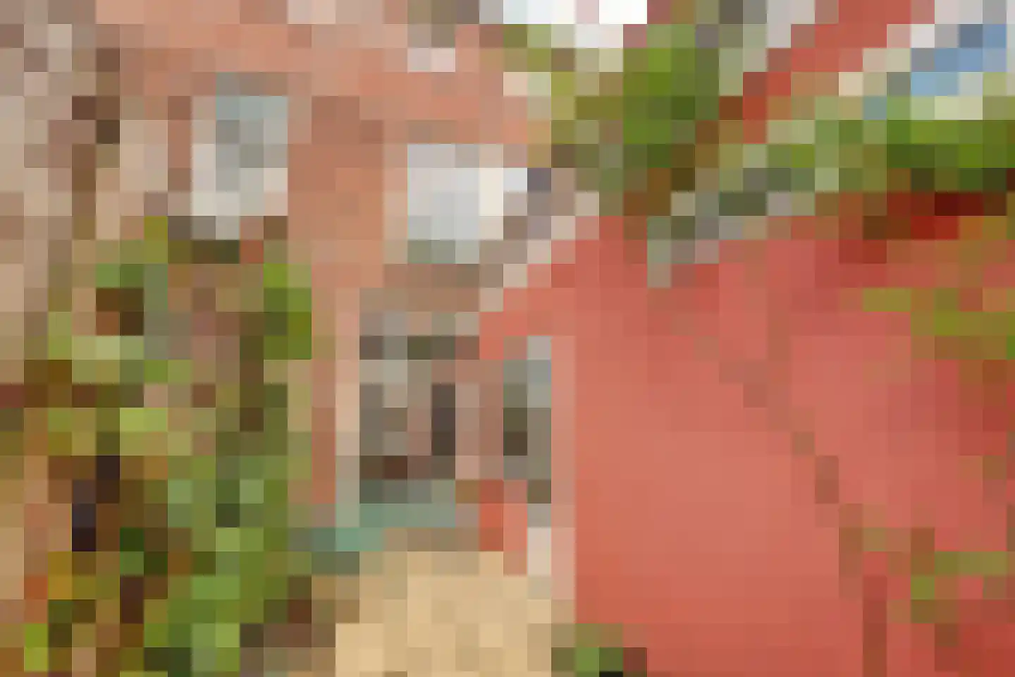 Padangstraat 8 Utrecht thumbnail 16