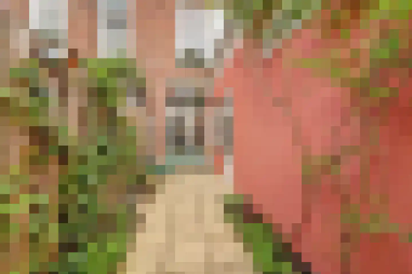 Padangstraat 8 Utrecht thumbnail 17
