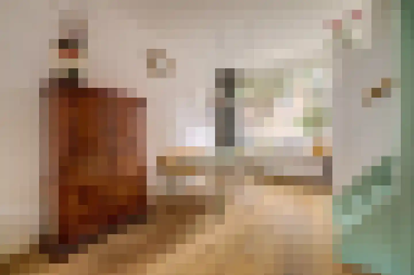 Padangstraat 8 Utrecht thumbnail 22
