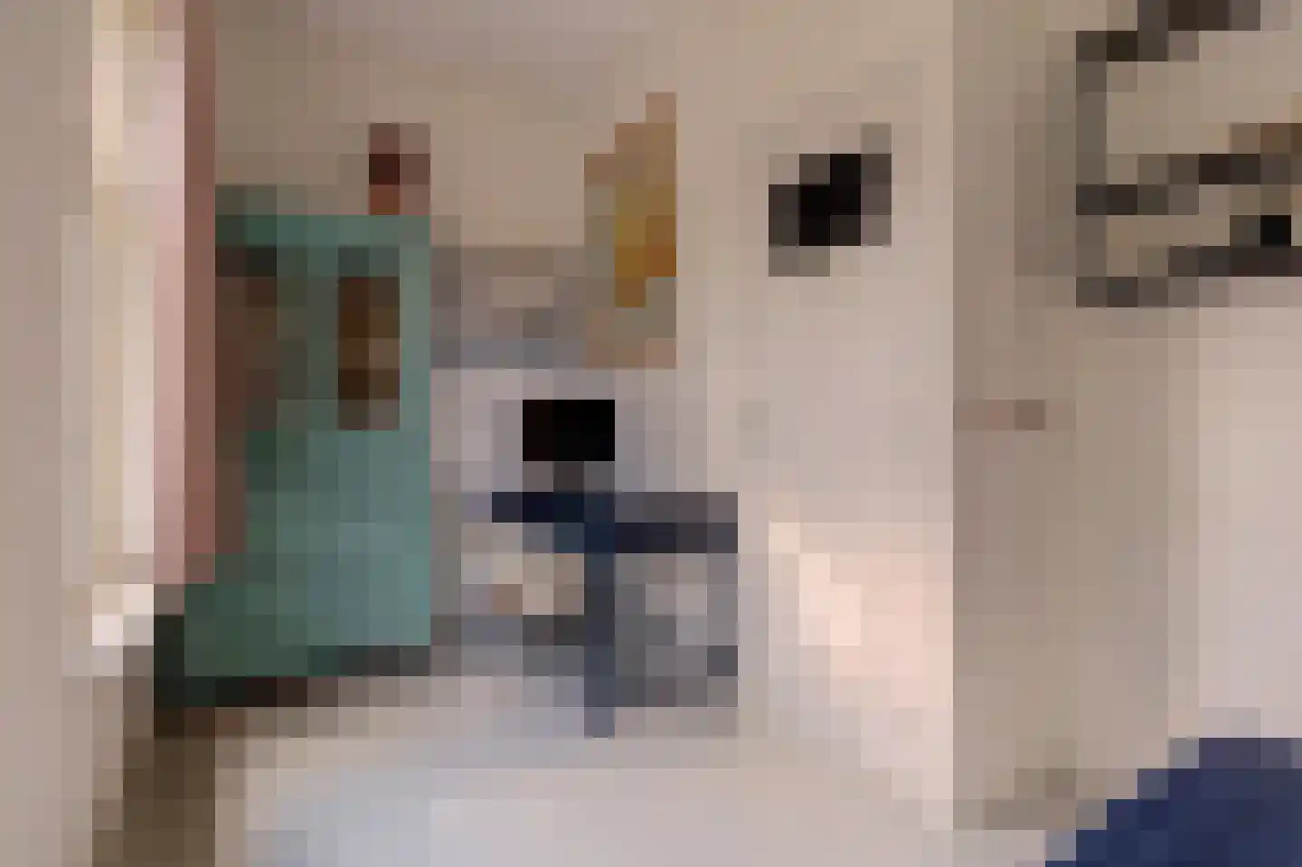 Padangstraat 8 Utrecht thumbnail 34