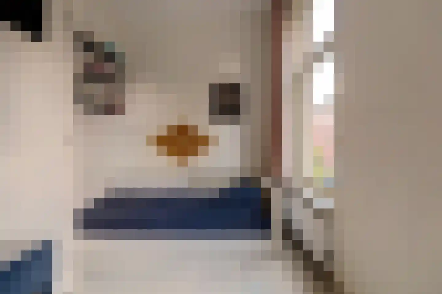 Padangstraat 8 Utrecht thumbnail 35