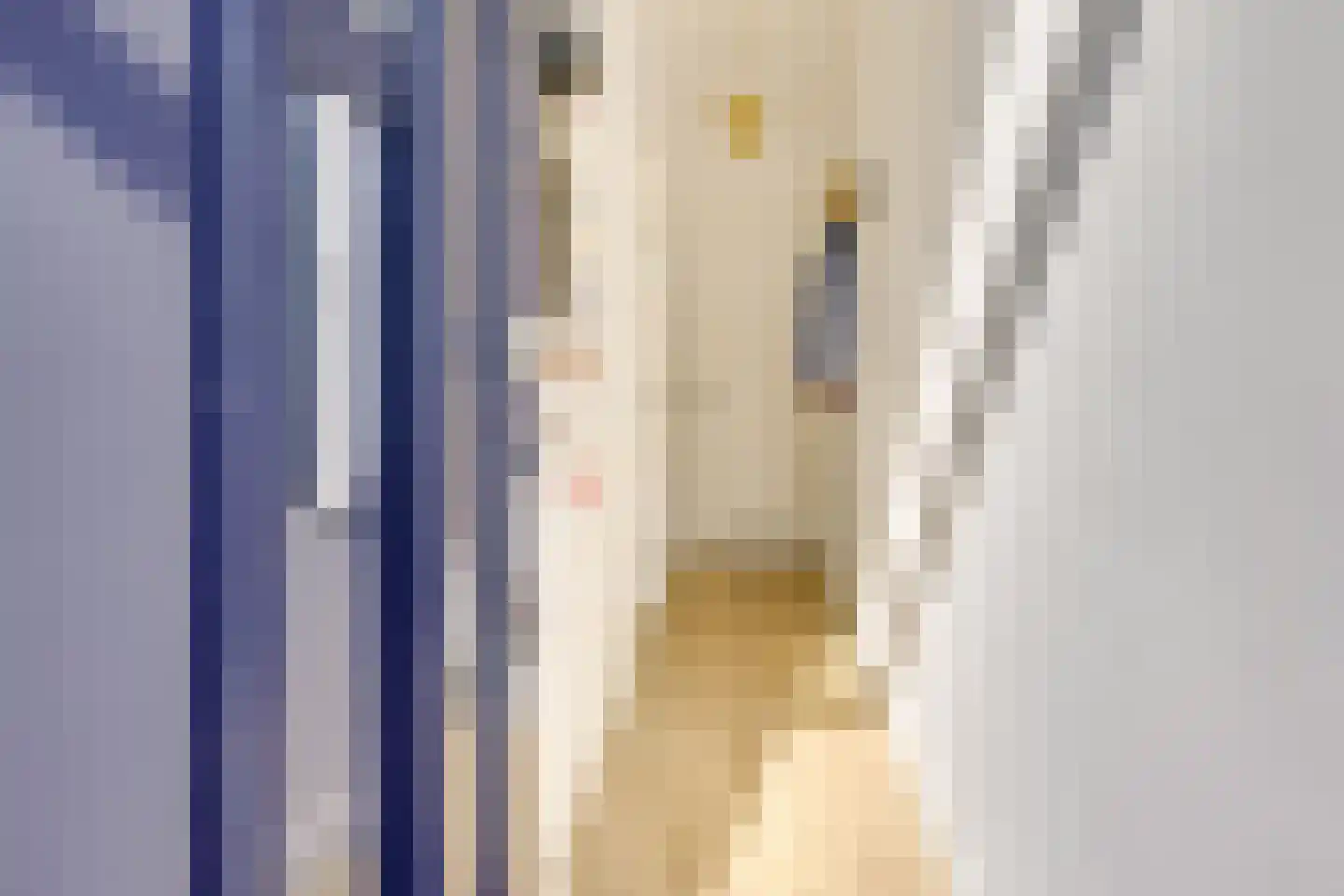 Padangstraat 82 Utrecht thumbnail 32
