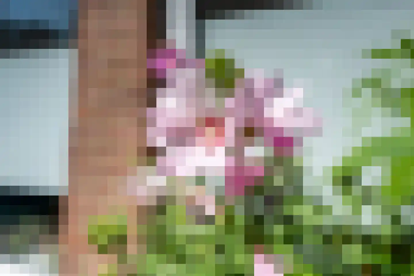 Padangstraat 82 Utrecht thumbnail 34