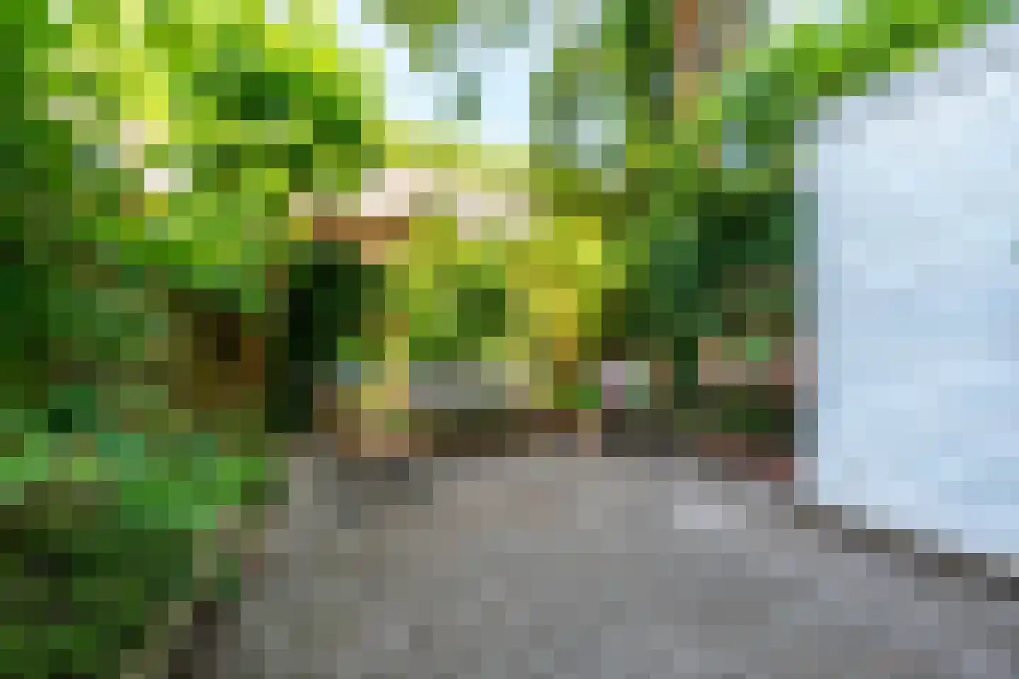 Padangstraat 82 Utrecht thumbnail 4