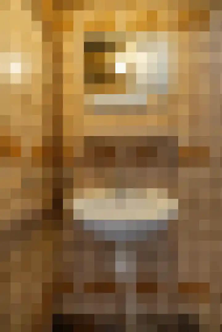 Padangstraat 9 Groningen thumbnail 16