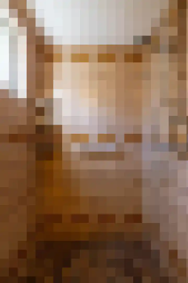 Padangstraat 9 Groningen thumbnail 17