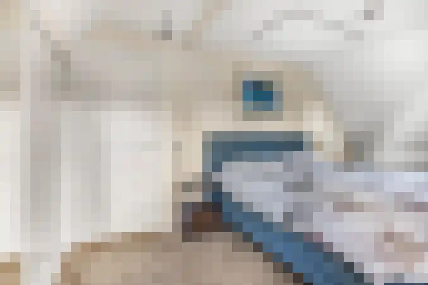 Padberglaan 24 Ede thumbnail 29