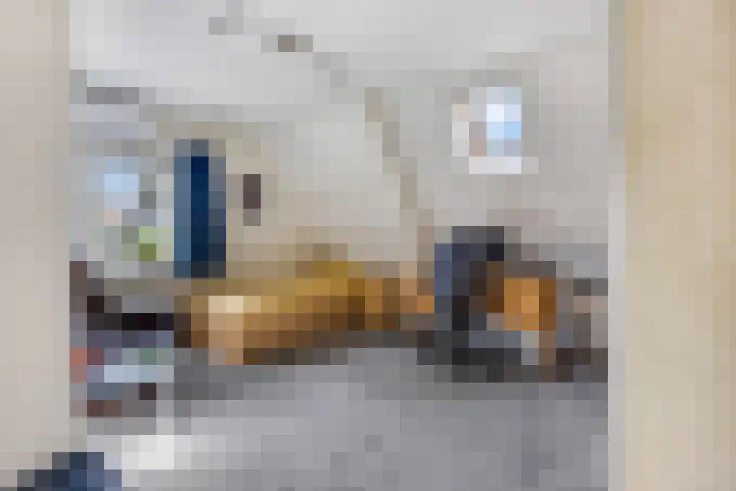 Padberglaan 24 Ede thumbnail 34
