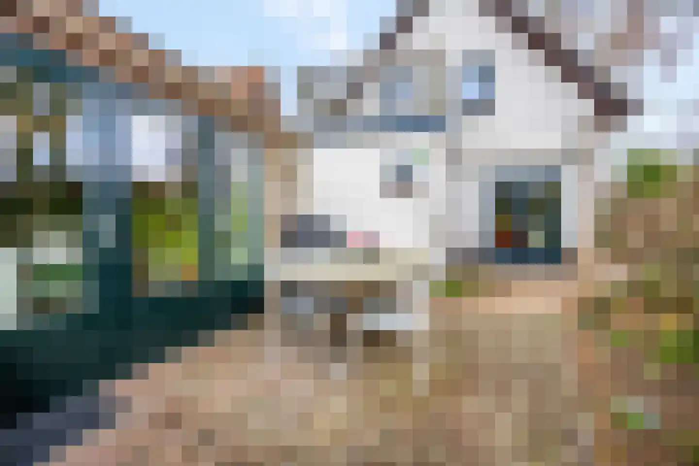 Padberglaan 24 Ede thumbnail 42