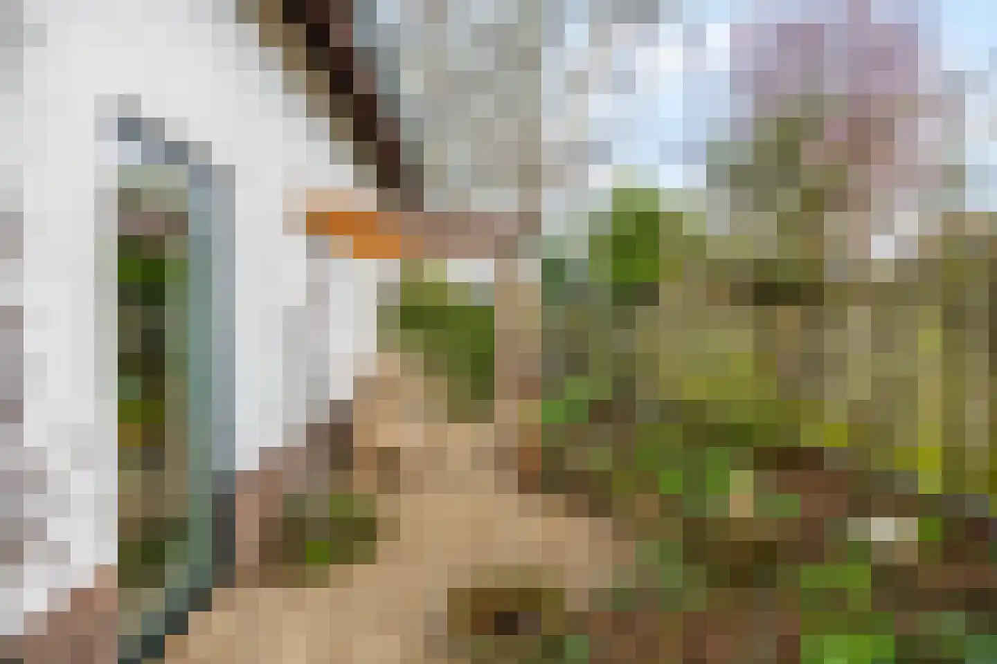 Padberglaan 24 Ede thumbnail 47