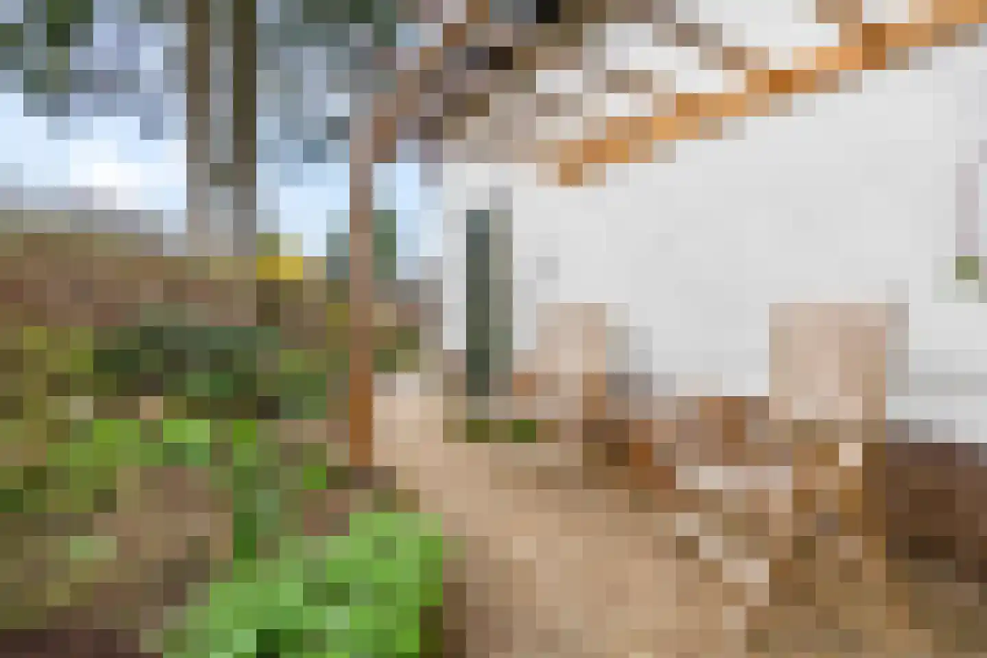 Padberglaan 24 Ede thumbnail 48