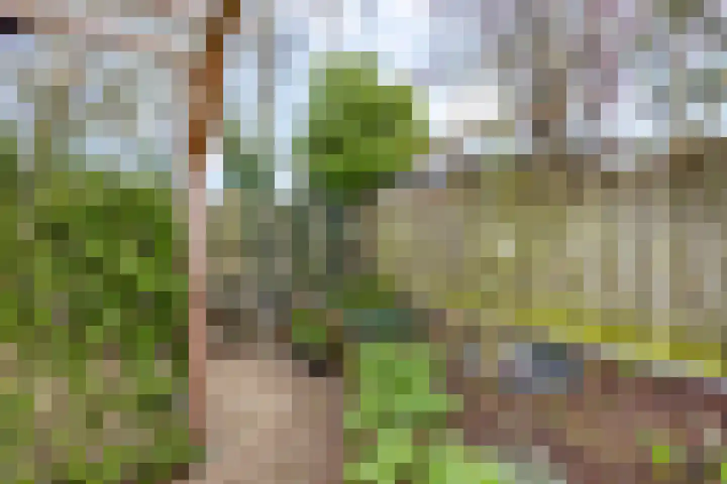 Padberglaan 24 Ede thumbnail 49