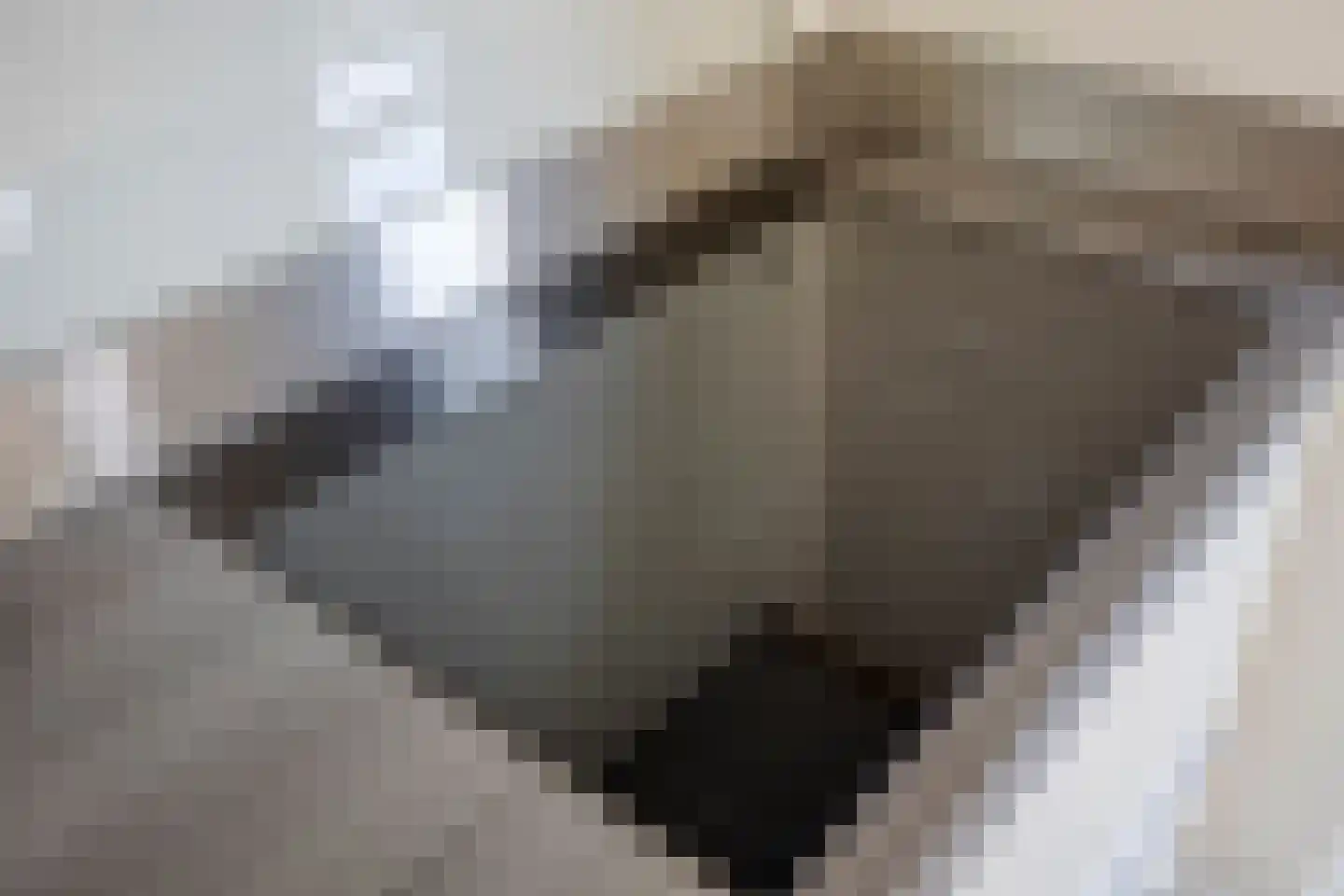 Padbree 1 Haaksbergen thumbnail 15