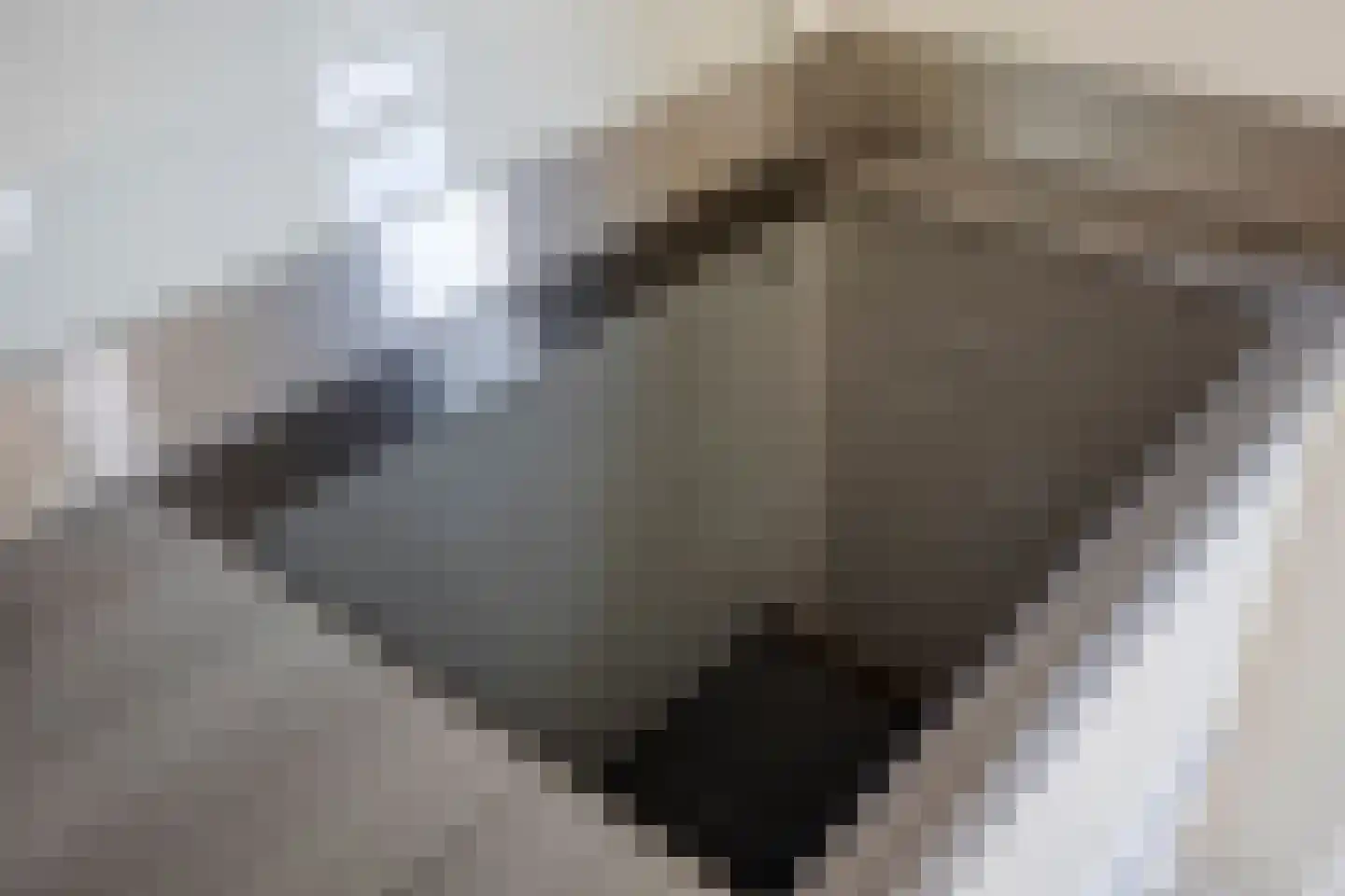 Padbree 1 Haaksbergen thumbnail 15