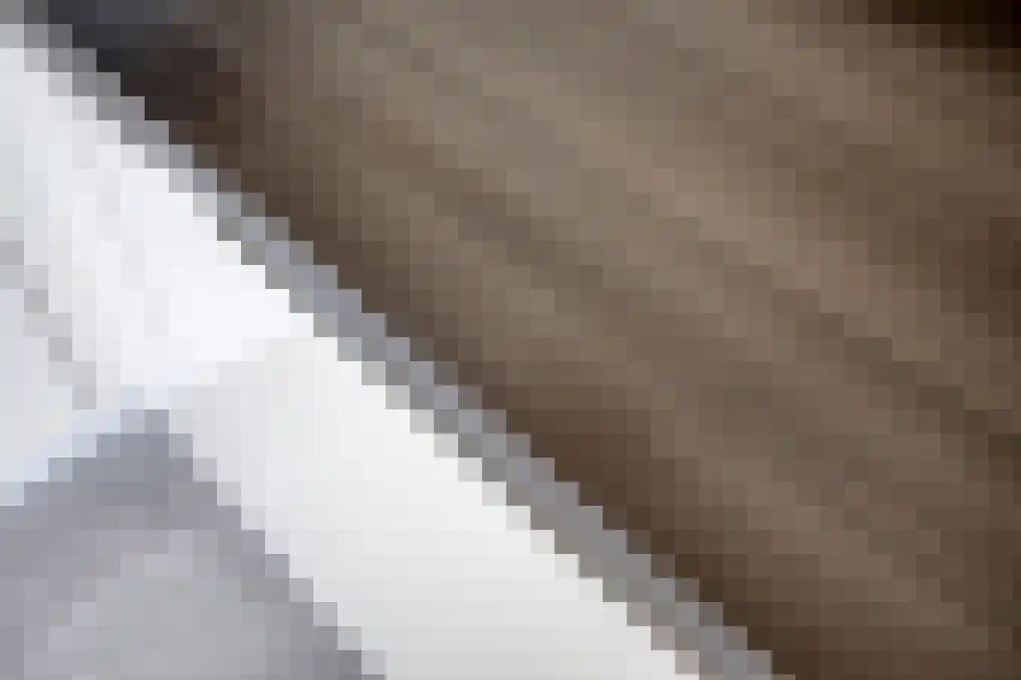Padbree 1 Haaksbergen thumbnail 17