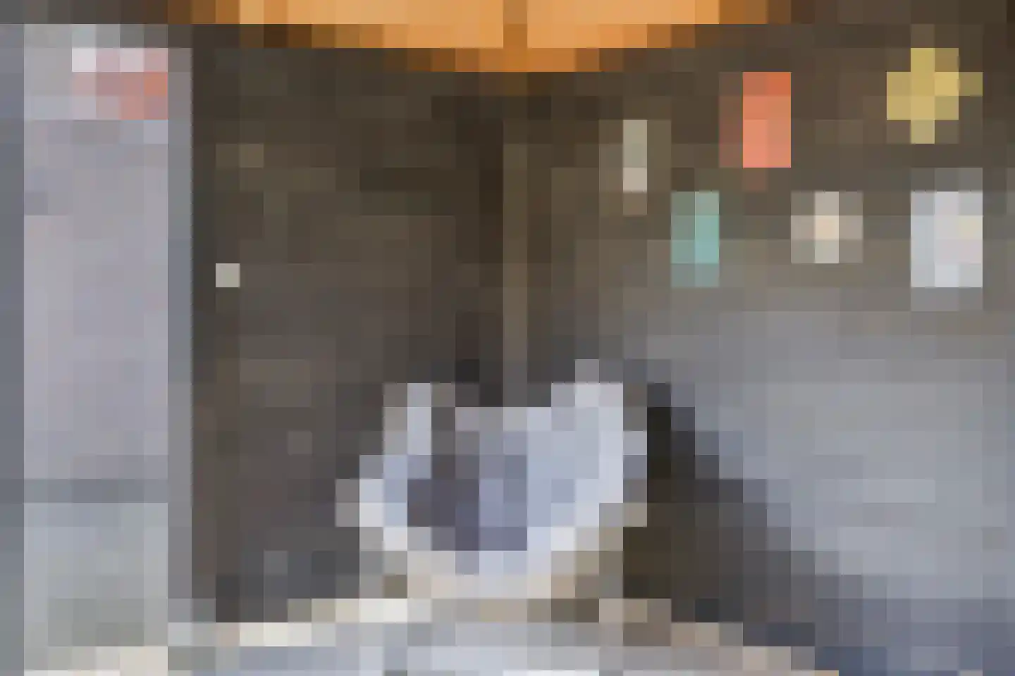 Padbree 1 Haaksbergen thumbnail 24