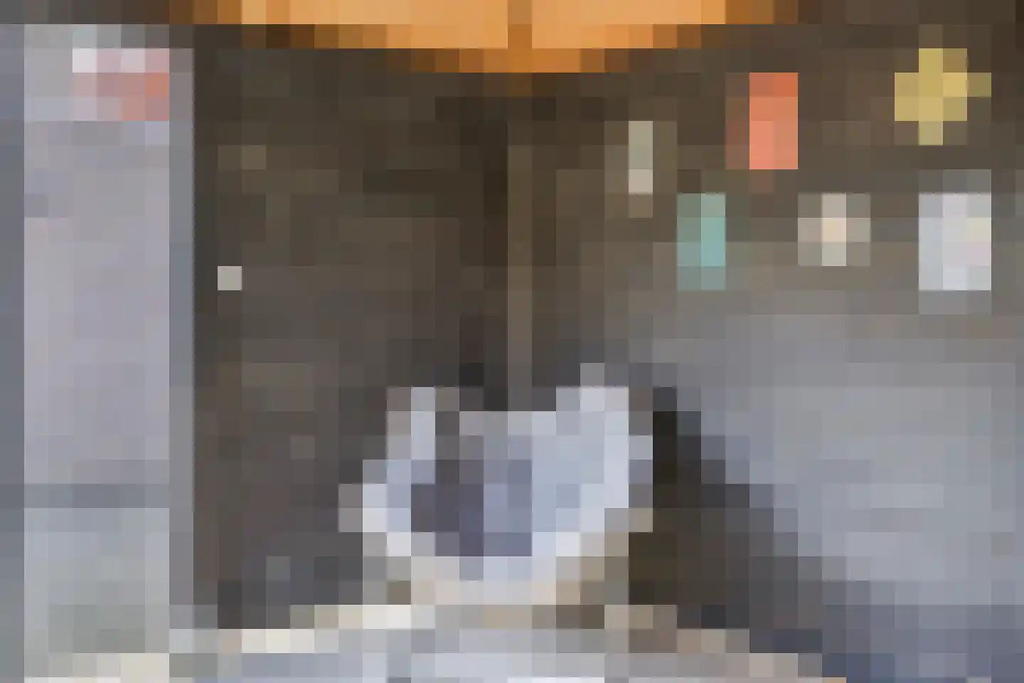 Padbree 1 Haaksbergen thumbnail 24